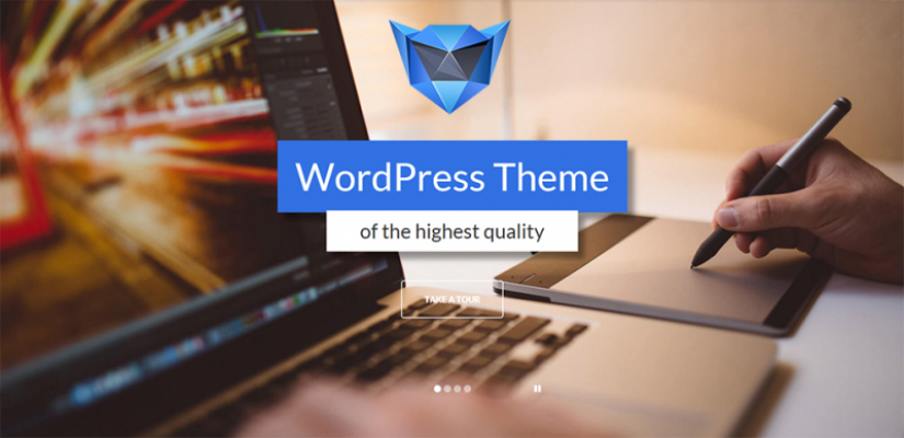 Using 7 WordPress Website design - Custom Themes & Templates
